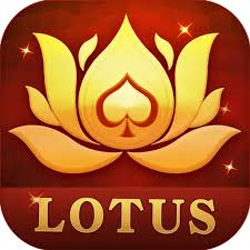 teen patti crome download